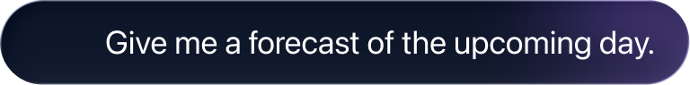 Give me a forecast of the upcoming day.