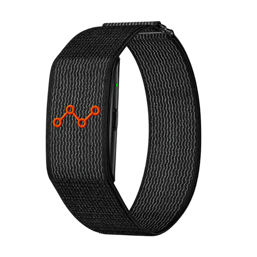 PHYSIQ LOOP